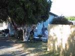 9109-0931_IMG.jpg 4.67k