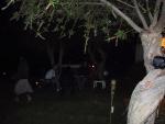 9109-0956_IMG.jpg 3.42k