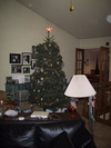 9IMG_4138.jpg 15.92k