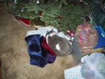 9IMG_4140.jpg 14.26k