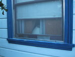 9IMG_4198.jpg 10.41k