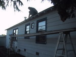 9IMG_4231.jpg 10.86k