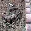 9stump1.jpg 3.85k