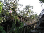 9IMG_8975.jpg 22.53k