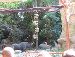 9IMG_9164.jpg 23.32k