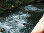 9IMG_9176.jpg 19.58k