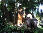 9IMG_9179.jpg 23.93k