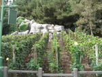 9IMG_8841.jpg 24.06k