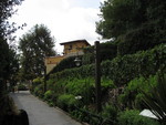 9IMG_8843.jpg 19.43k