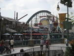 9IMG_8849.jpg 20.63k