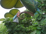 9IMG_8938.jpg 21.93k