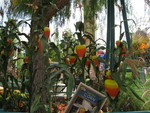 9IMG_8817.jpg 25.06k