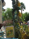 9IMG_8821.jpg 22.50k