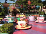 9IMG_8577.jpg 25.40k