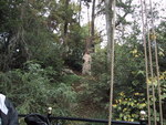 9IMG_4090.jpg 16.64k