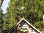 9IMG_8667.jpg 24.32k