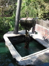 9IMG_8690.jpg 21.89k