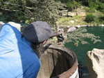 9IMG_8704.jpg 21.92k