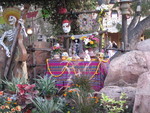 9IMG_9035.jpg 25.30k