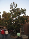 9IMG_9037.jpg 18.33k