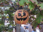9IMG_9041.jpg 25.00k