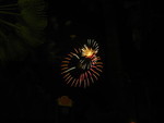 9IMG_8405.jpg 11.48k