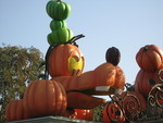9IMG_8491.jpg 18.99k