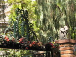 9IMG_8656.jpg 26.62k
