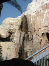 9IMG_8560.jpg 19.64k
