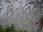9IMG_3796.jpg 15.65k