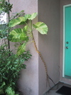 9IMG_3823.jpg 17.75k