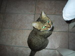 9IMG_3958.jpg 10.47k