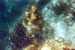 9014_11A.jpg 20.28k