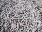9IMG_3804.jpg 18.84k