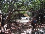 9IMG_3853.jpg 19.65k