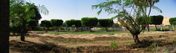 9AswanViewPano.jpg 8.57k