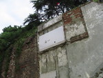 9IMG_1781.jpg 18.65k