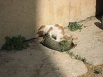9IMG_4319.jpg 16.37k
