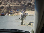 9IMG_5205.jpg 17.33k