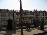 9IMG_2494.jpg 17.34k