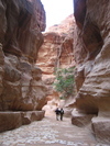 9IMG_4767.jpg 18.67k