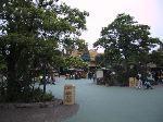 9124-2488_IMG.jpg 5.34k