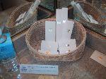 9img_2718.jpg 4.88k