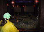 9img_2661.jpg 3.38k