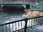 9img_2548.jpg 6.66k