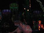 9P5140096.jpg 2.92k