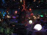 9img_2565.jpg 4.82k
