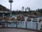 9img_2701.jpg 4.93k