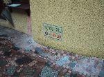 9img_2730.jpg 5.36k