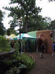 9img_2732.jpg 5.62k